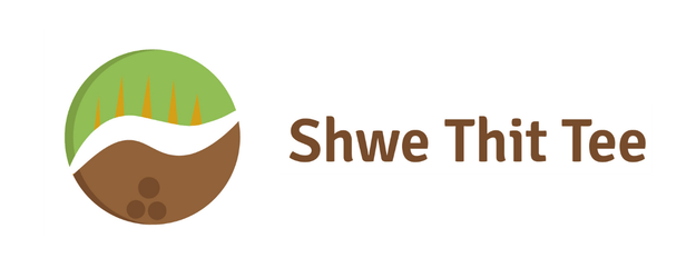 Shwe Thit Tee - Coconut Myanmar Supplier