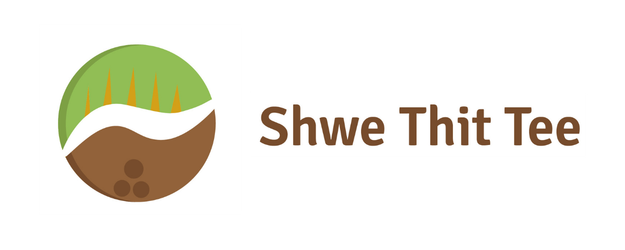 Shwe Thit Tee Logo